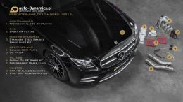 MB-E43-AMG-213-CHIP-TUNING-AUTODYNAMICSPL